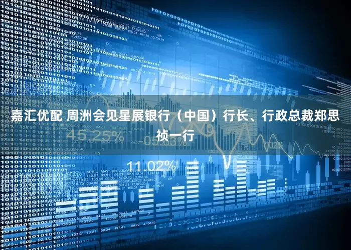 嘉汇优配 周洲会见星展银行（中国）行长、行政总裁郑思祯一行