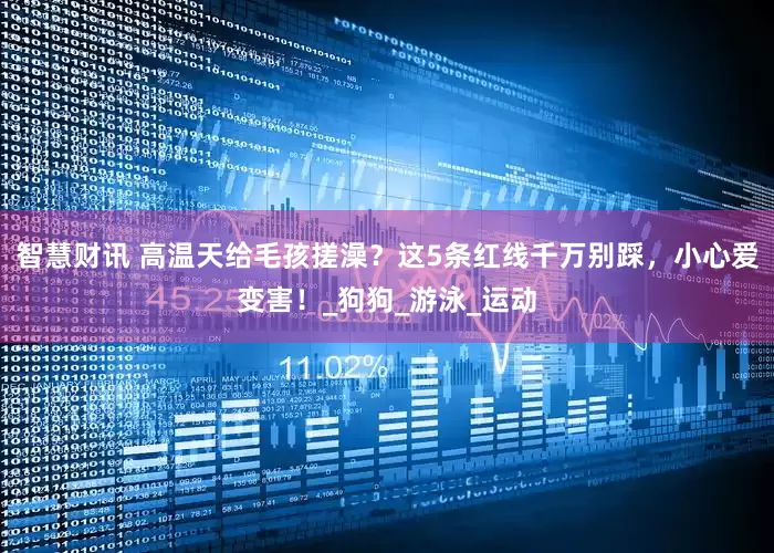 智慧财讯 高温天给毛孩搓澡？这5条红线千万别踩，小心爱变害！_狗狗_游泳_运动