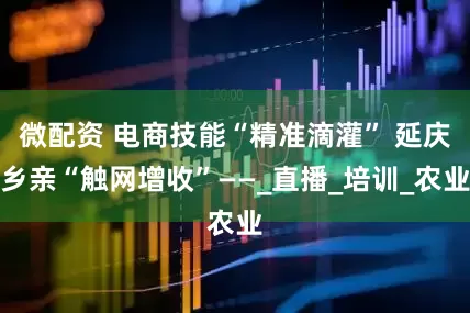 微配资 电商技能“精准滴灌” 延庆乡亲“触网增收”——_直播_培训_农业
