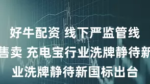 好牛配资 线下严监管线上仍违规售卖 充电宝行业洗牌静待新国标出台