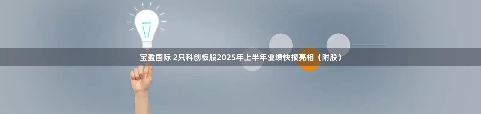 宝盈国际 2只科创板股2025年上半年业绩快报亮相（附股）